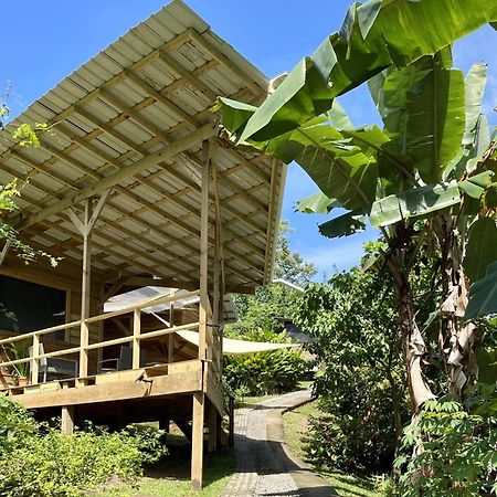 Eden Jungle Lodge Бокас-дель-Торо Экстерьер фото
