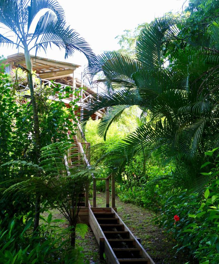 Eden Jungle Lodge Бокас-дель-Торо Экстерьер фото