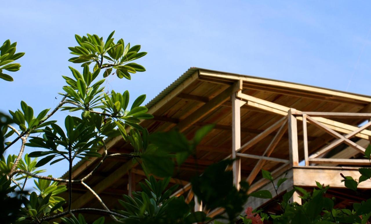 Eden Jungle Lodge Бокас-дель-Торо Экстерьер фото