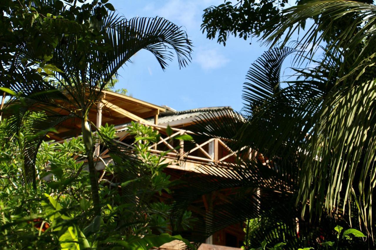 Eden Jungle Lodge Бокас-дель-Торо Экстерьер фото