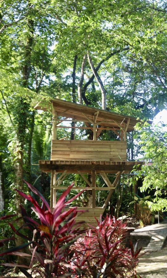 Eden Jungle Lodge Бокас-дель-Торо Экстерьер фото