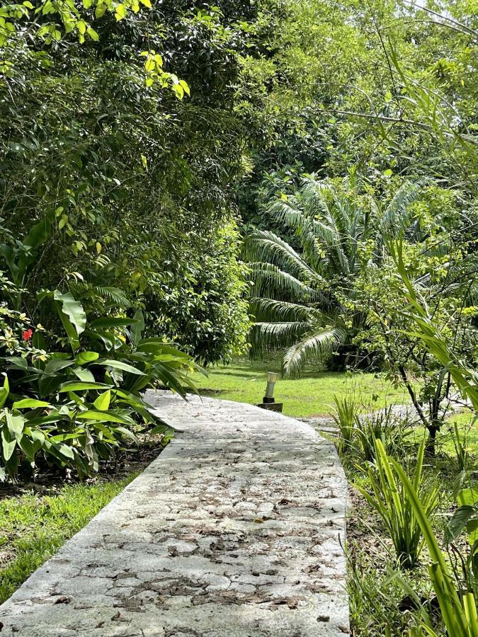 Eden Jungle Lodge Бокас-дель-Торо Экстерьер фото