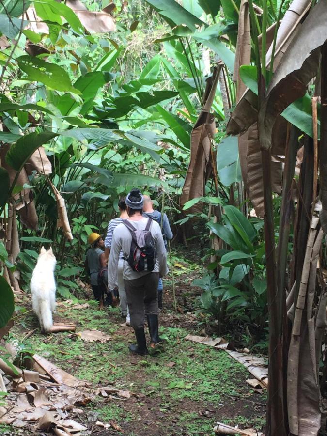 Eden Jungle Lodge Бокас-дель-Торо Экстерьер фото