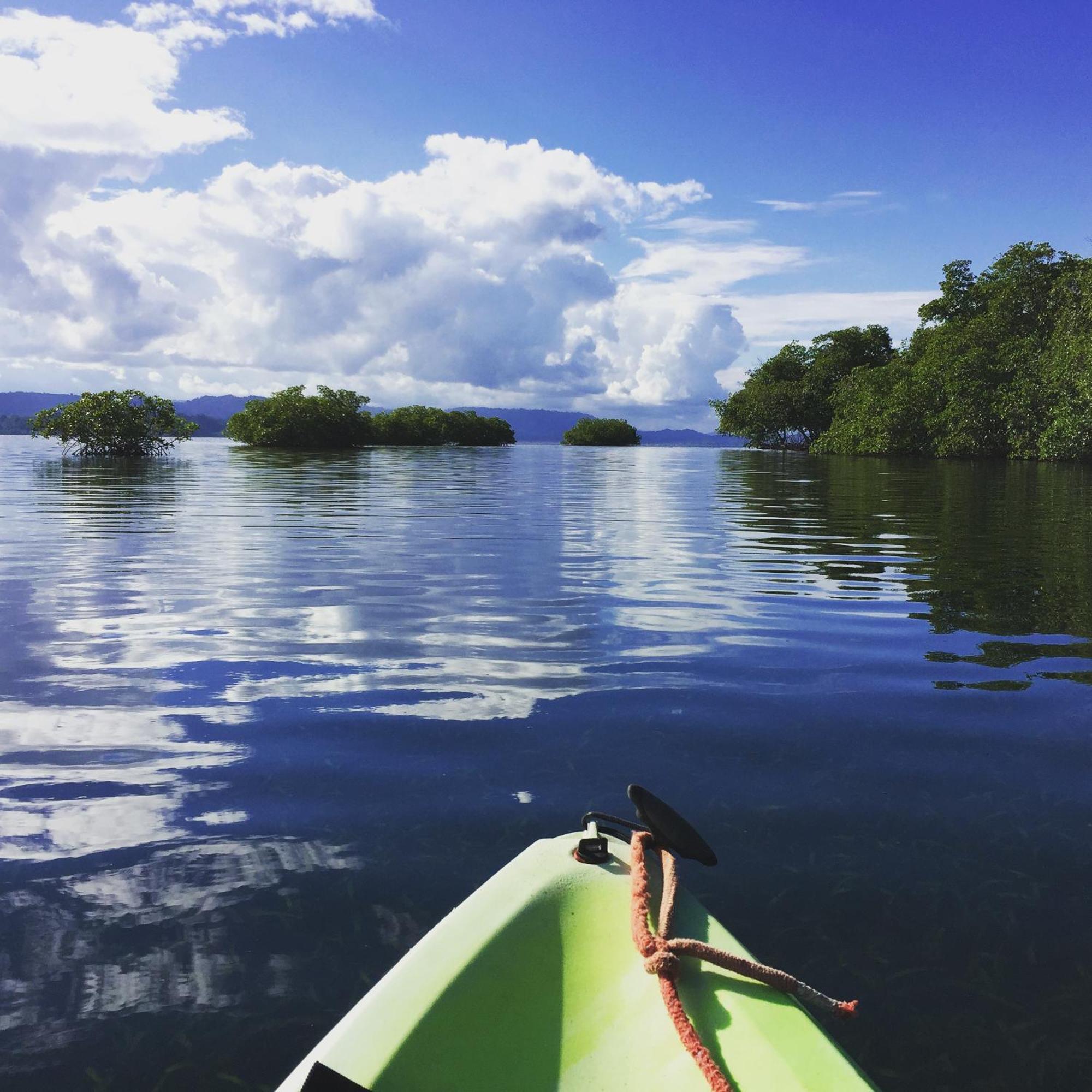 Eden Jungle Lodge Бокас-дель-Торо Экстерьер фото