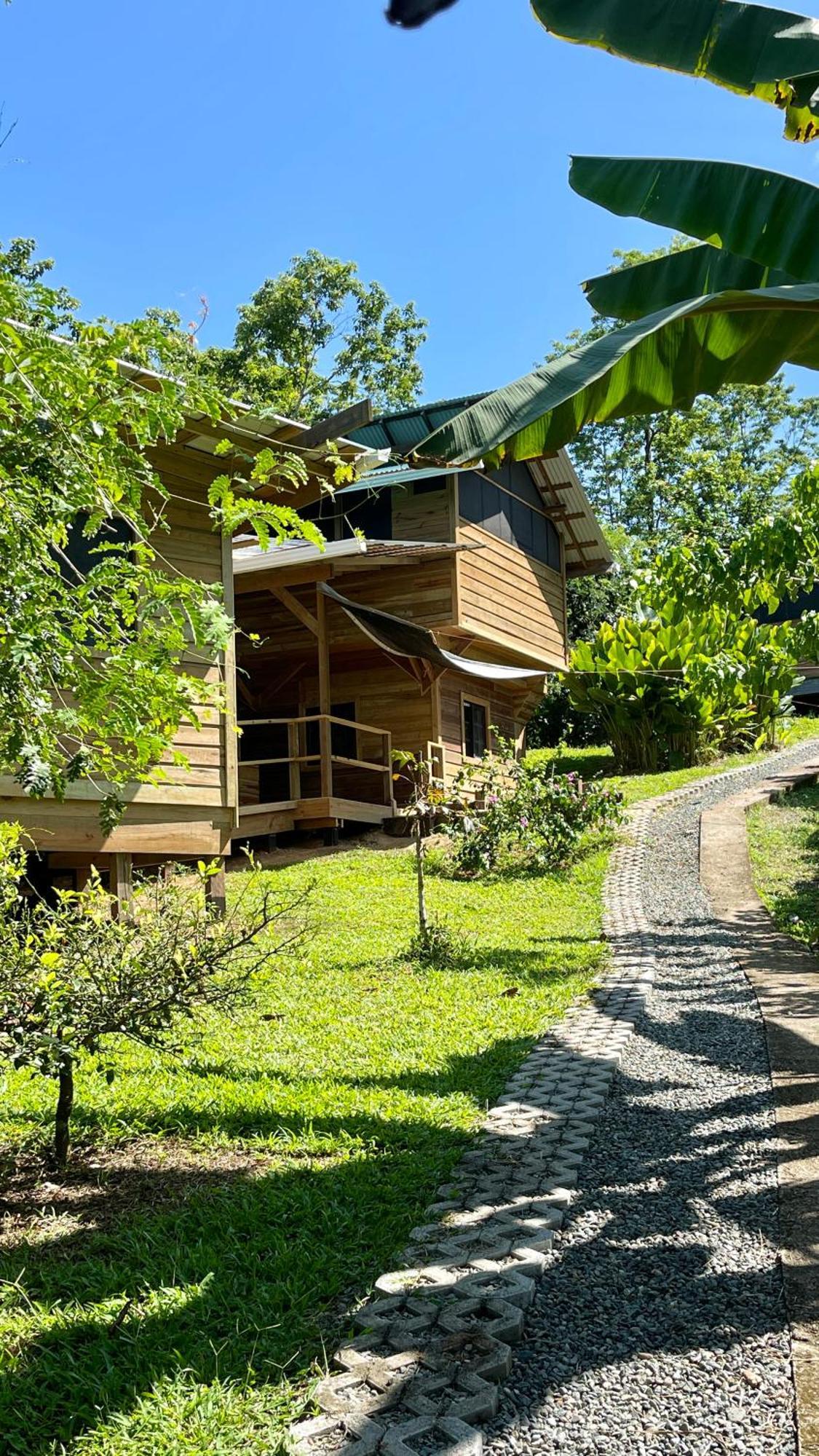 Eden Jungle Lodge Бокас-дель-Торо Экстерьер фото
