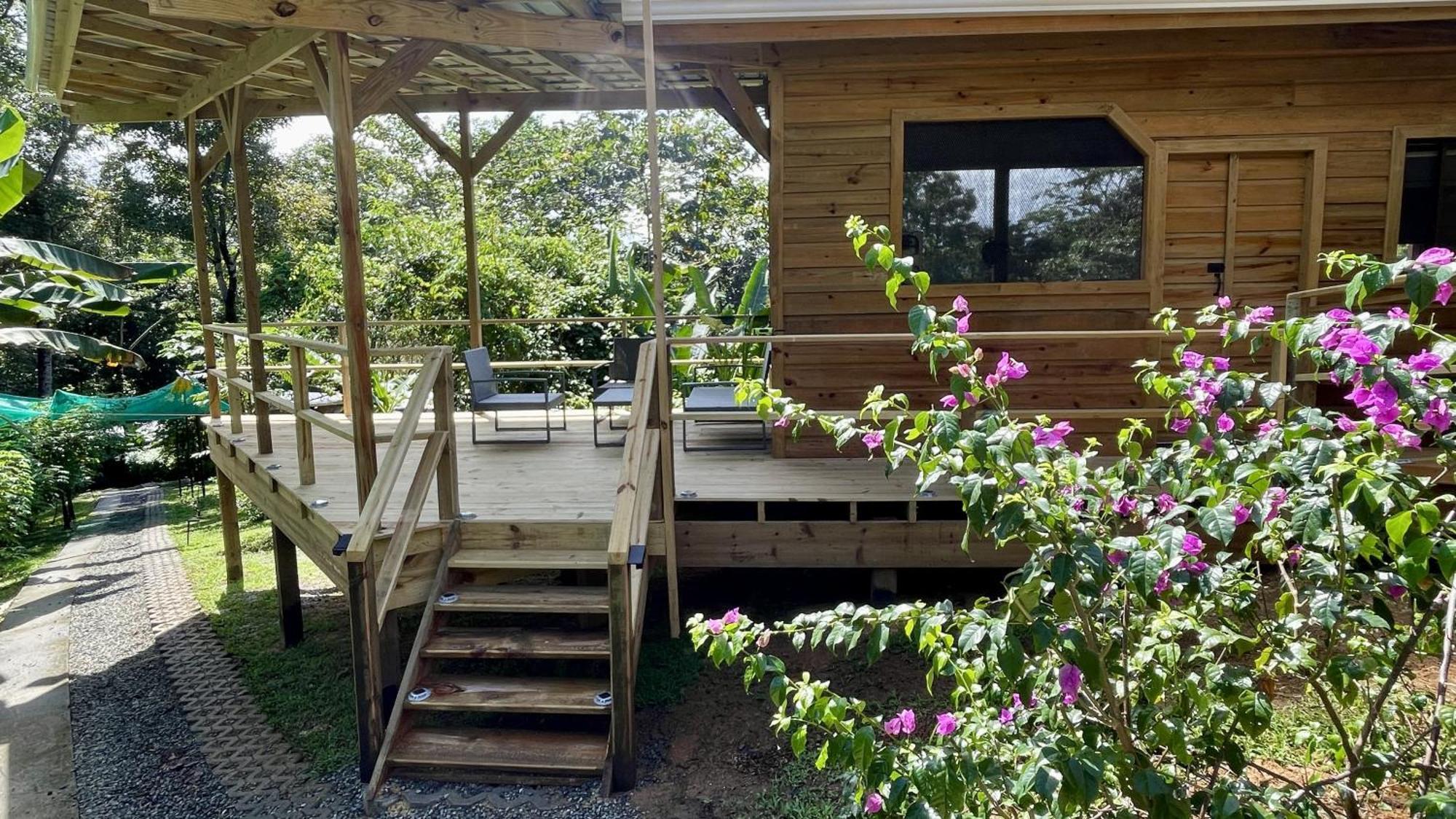 Eden Jungle Lodge Бокас-дель-Торо Экстерьер фото