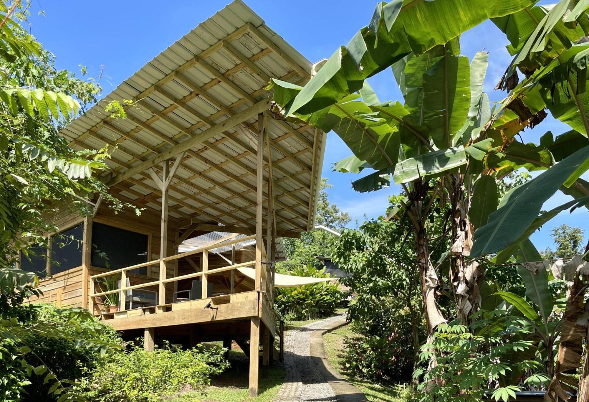 Eden Jungle Lodge Бокас-дель-Торо Экстерьер фото